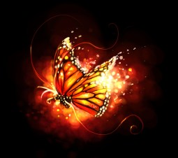 Calico, the Butterfly, My Gentlest Friend (©2013 Image by Joseph Rintoul)