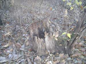 Another Worthy Vessel(Photo by Mark Rogers, 2014) 